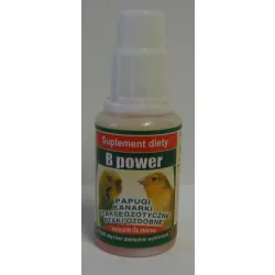 B POWER- EGZOTYKA 10 ML B POWER- EGZOTYKA 10 ML