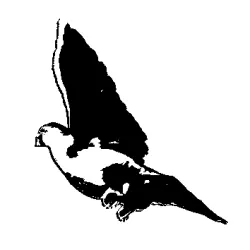 Zestaw lęgowy Zestaw lęgowy